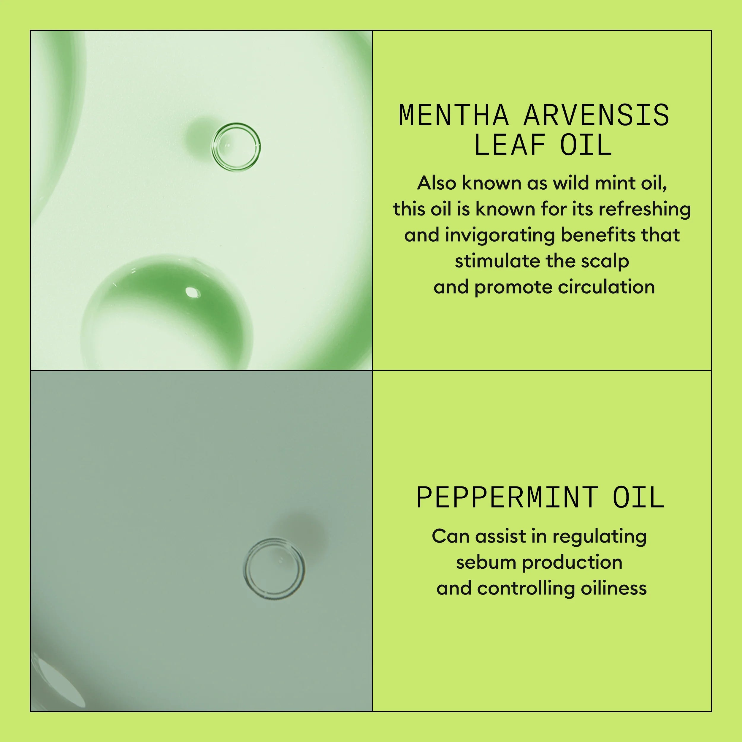 Nioxin System 2 Scalp + Hair Conditioner