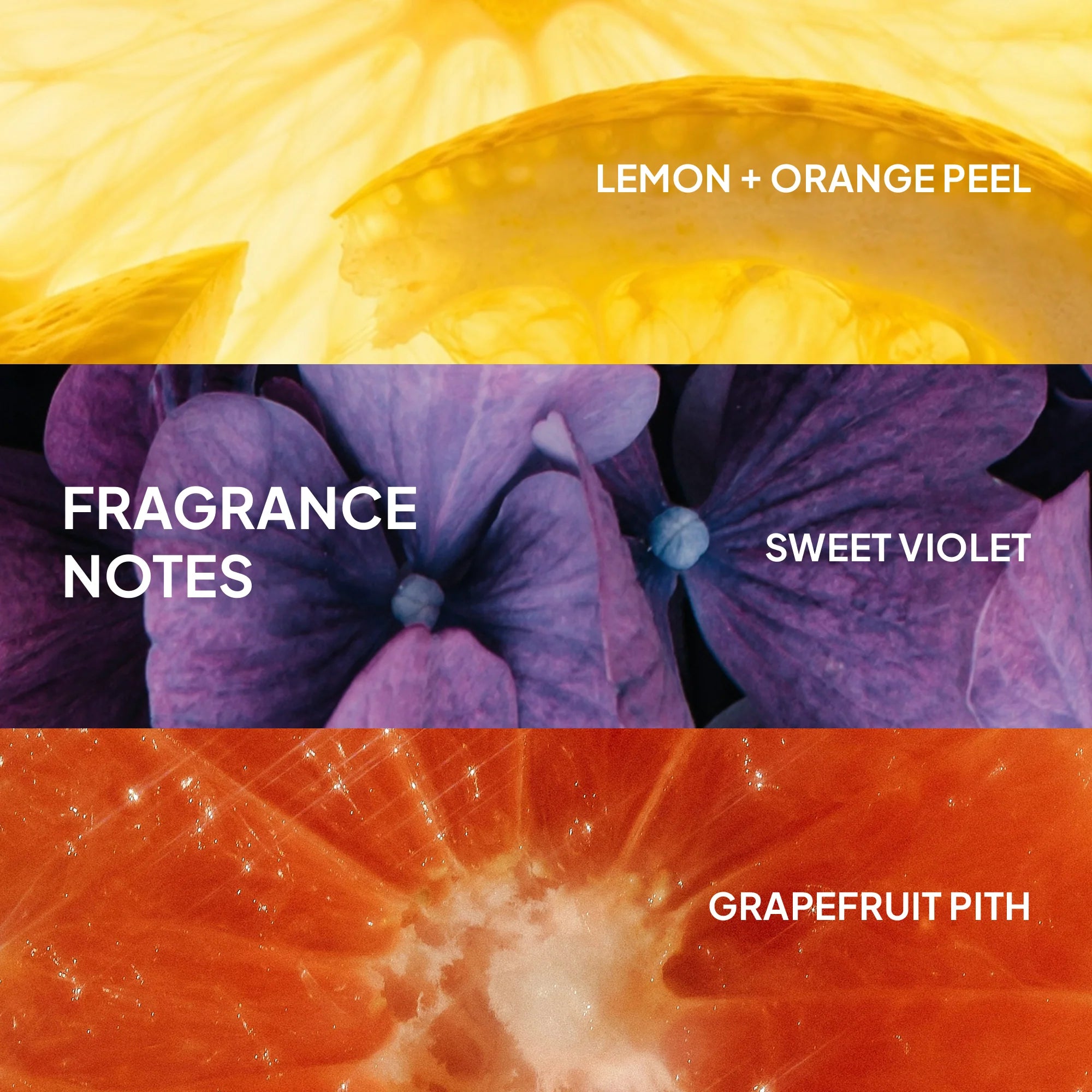 Verb Ghost Shampoo
