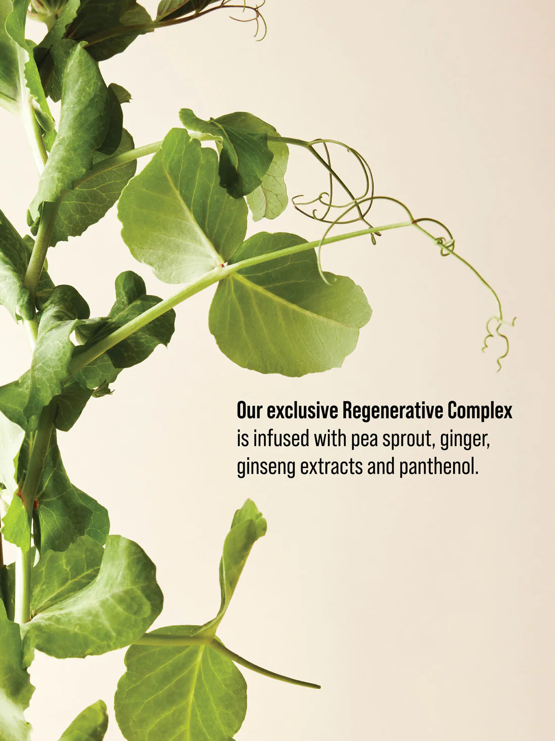 AG Care Bigwigg Root Volumizer