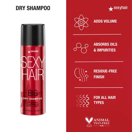 Big SexyHair Volumizing Dry Shampoo