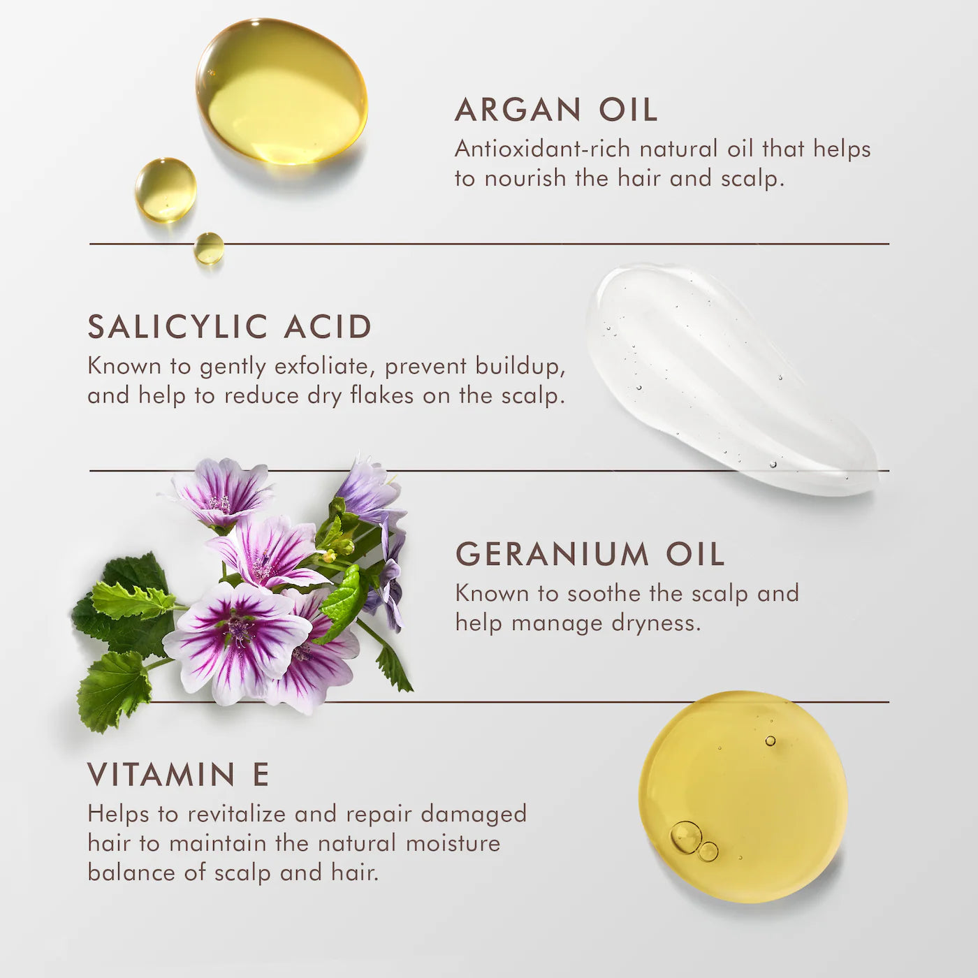 Moroccanoil Dry Scalp Treatment