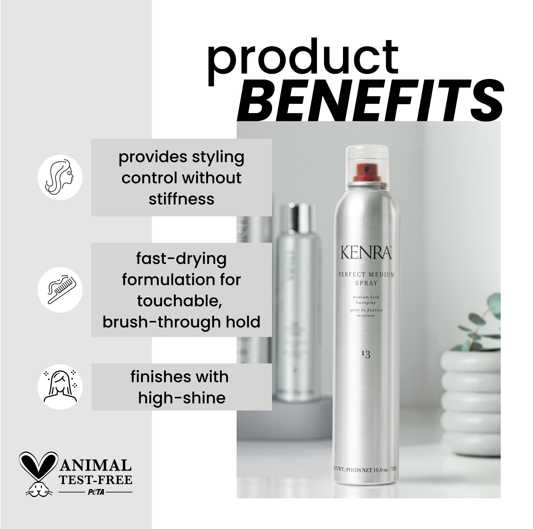 Kenra Perfect Medium Spray